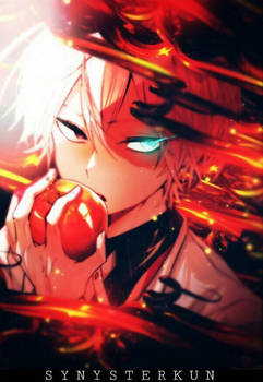 Half and Half [Todoroki Shouto]