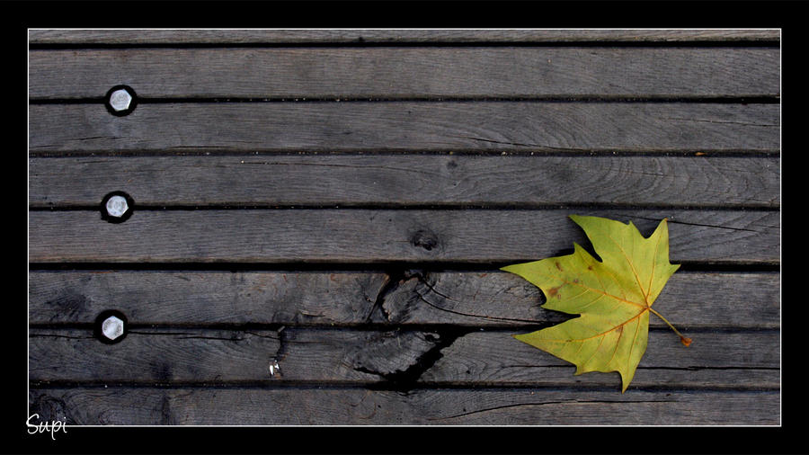 Leaf me alone by supmaite on DeviantArt