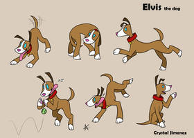 Elvis poses