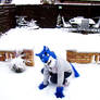 + Puppy Likes Teh Snow +
