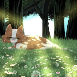 Self Doubt | Lifegen