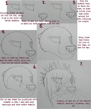 Otter Head Tutorial.