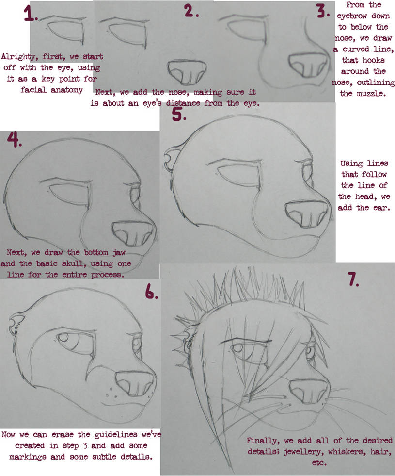 Otter Head Tutorial. by glennoar on DeviantArt