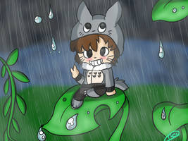 Totoro Boy