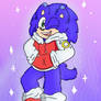 Sonic Hoodie