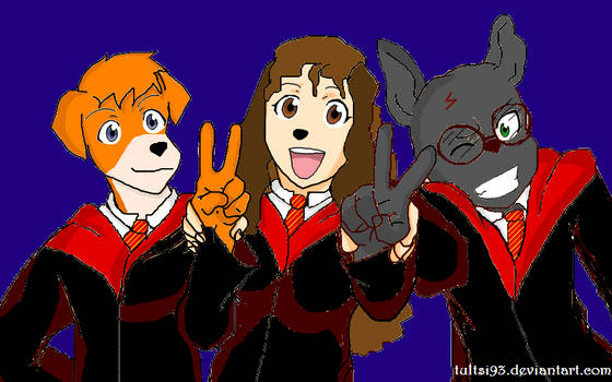 Anthro Harry Potter