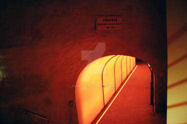 Champagne Cellar, France