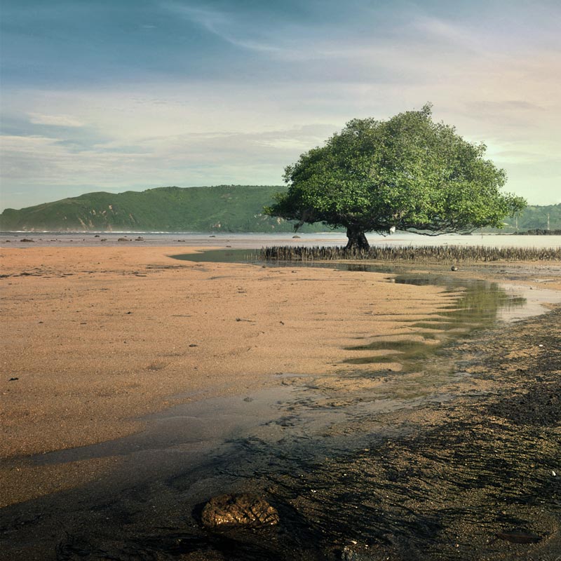 Pantai Putri Mandalika