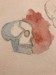 Quick sketch of a skull - coloured