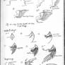 How to draw wings