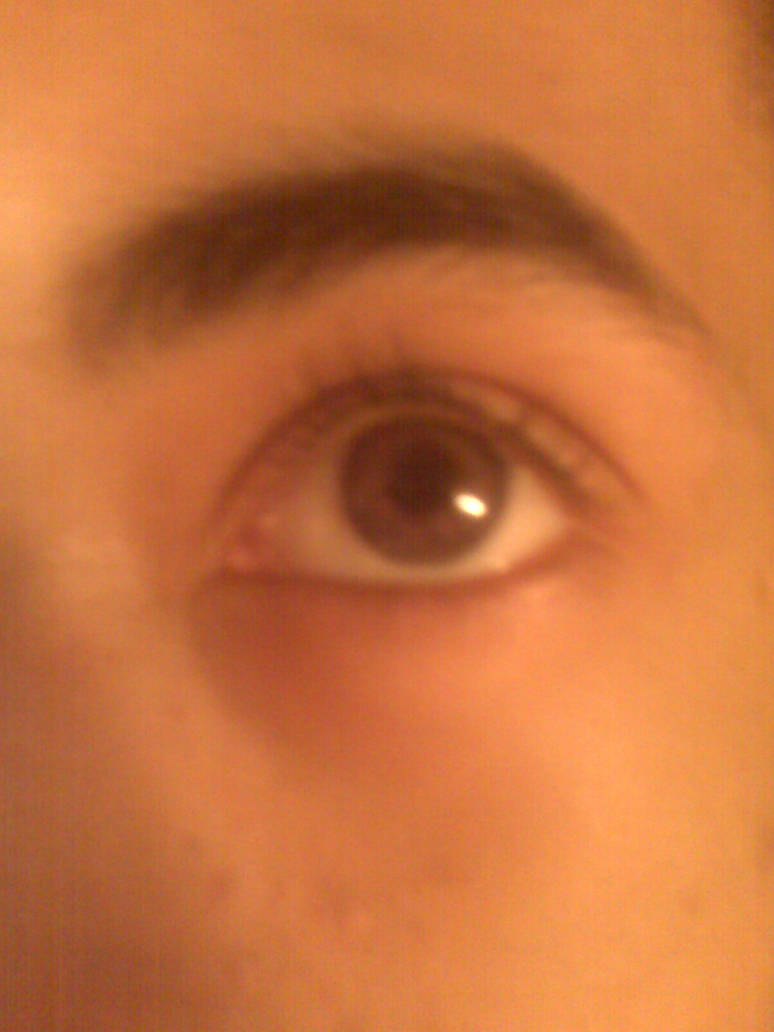 NEW CONTACTS by Aric414