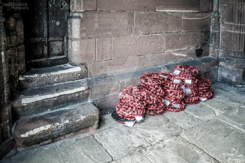 Poppies - Chester, UK