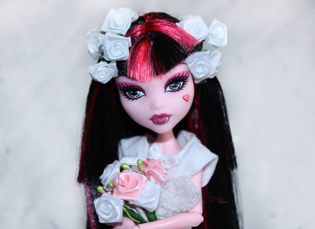 Дракулаура фото день Дракулаура фото день