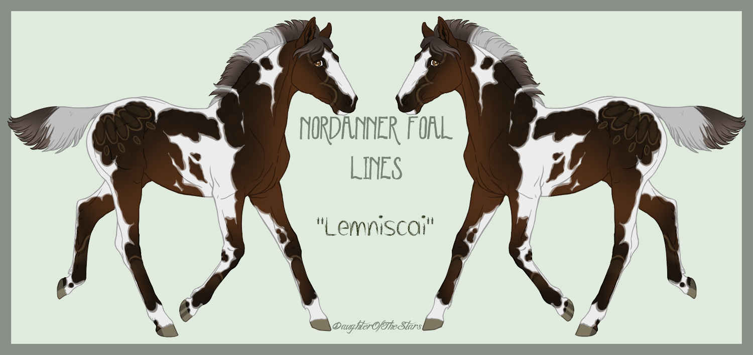 7929 Lemniscai Foal Design Holder