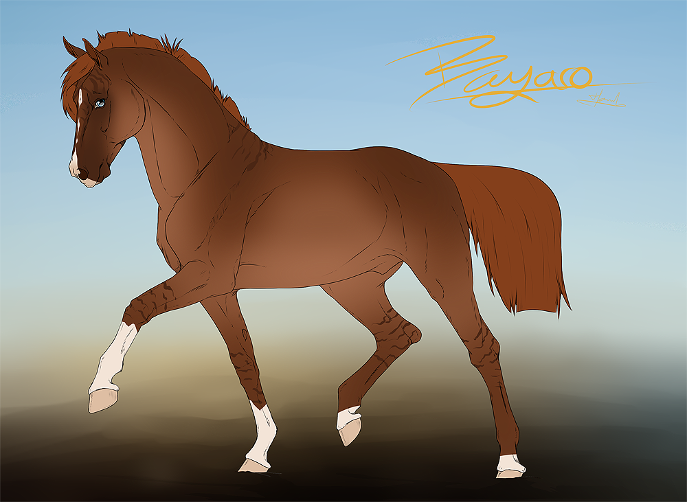 .: [ Bayaro Stallion #093 ] :.