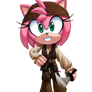 Pirate Amy Rose