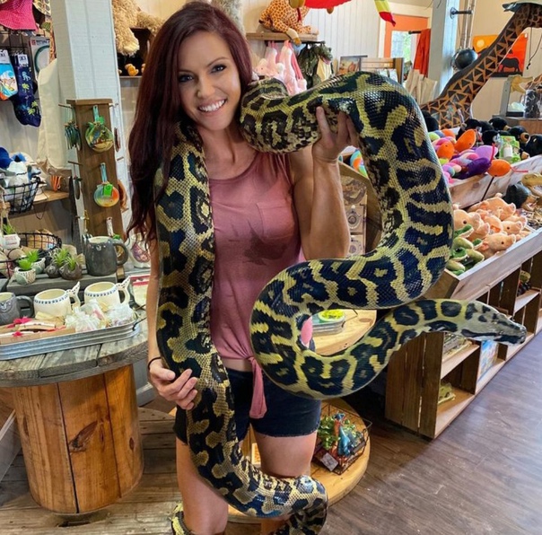 29 by andyconda2 on DeviantArt