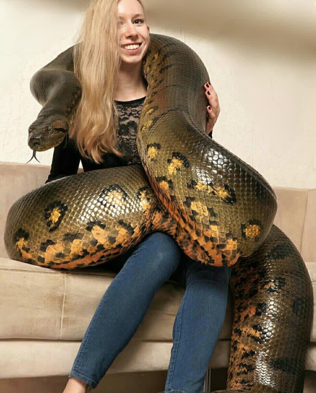 Python Constriction Deviantart Realistic 60 by andyconda2 on DeviantArt