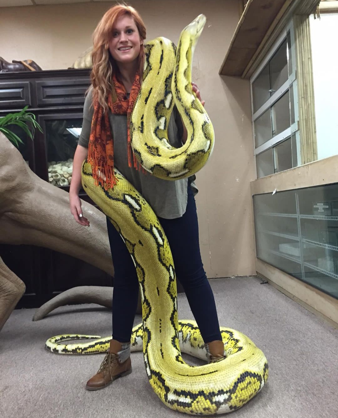 71 by andyconda2 on DeviantArt