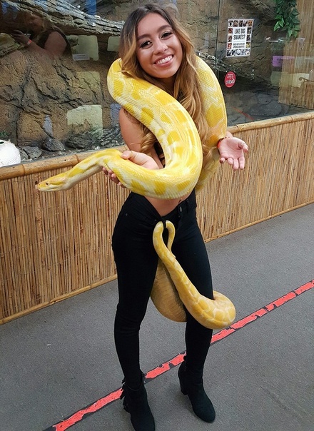 72 by andyconda2 on DeviantArt