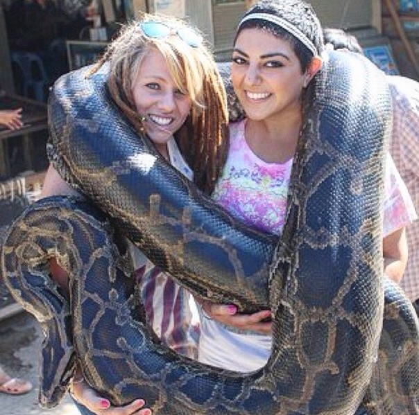 Moments after this picture the python had lunch... by andyconda2 on ...