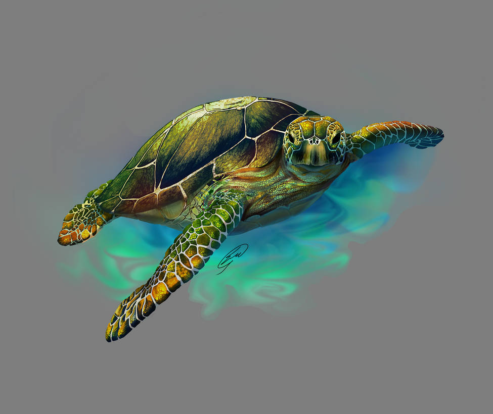 Turtlephant QiQiArtStation - Hobbyist, Digital Artist | DeviantArt