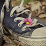someone like you