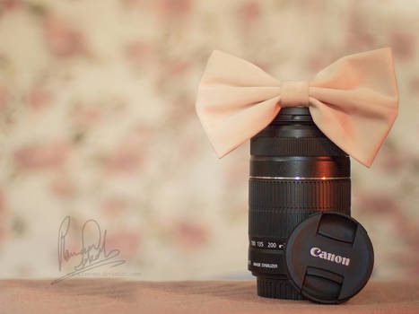 Of lenses and bows