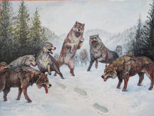 Pack-Of-Wolves
