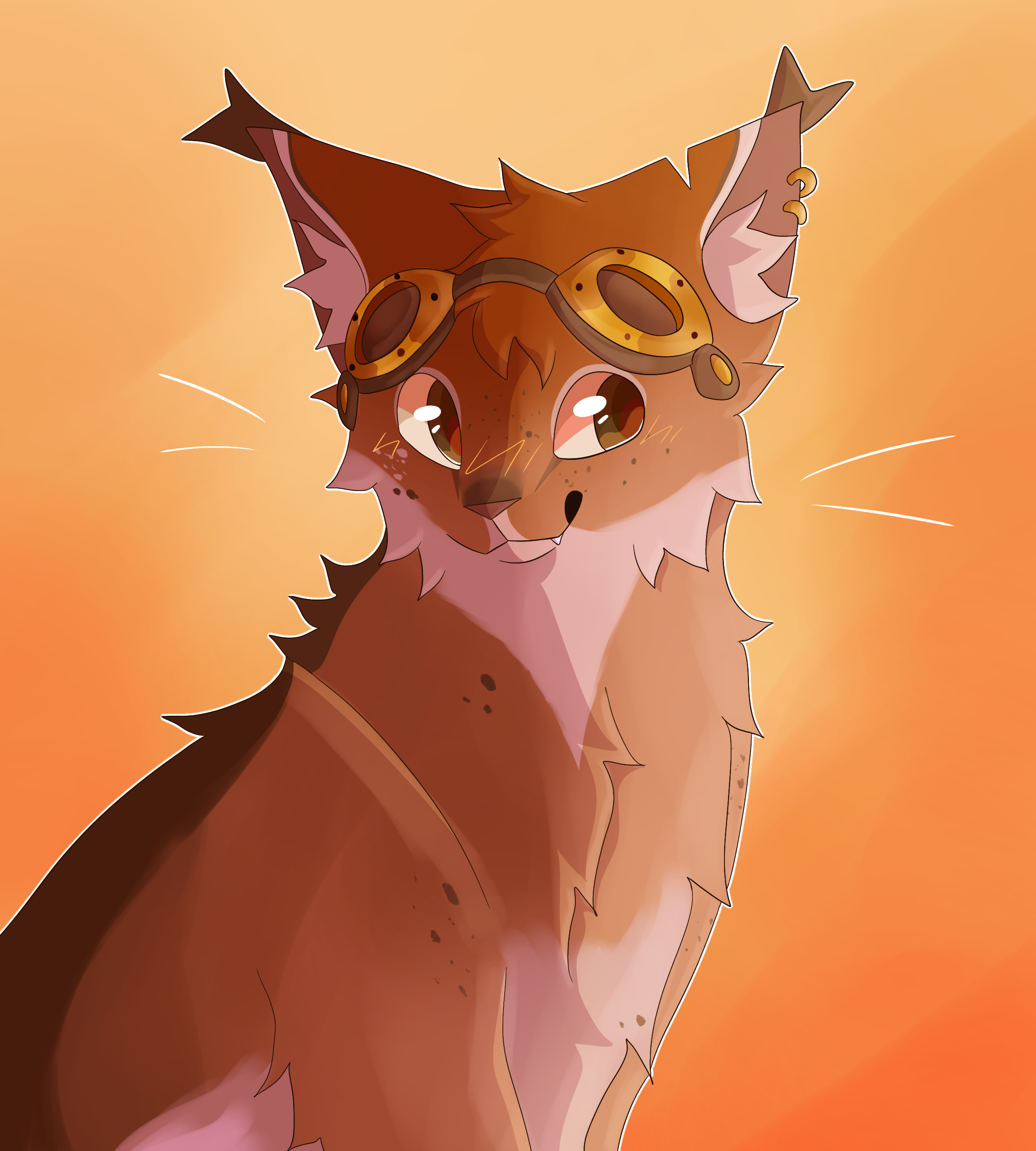 Warriors: Ravenpaw by Nightryx on DeviantArt