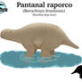 HENDEROLOGY: Pantanal Raporco