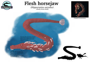 HENDEROLOGY: Flesh Horsejaw