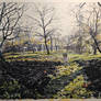 Late Autumn