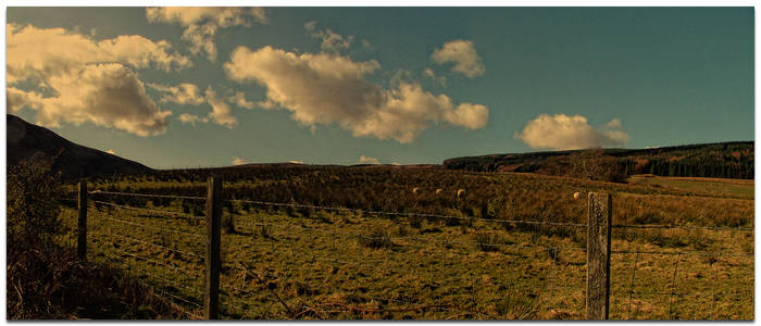 Lamlash Fields