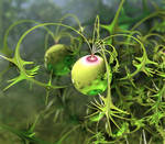 Wrk-2016-02-07 03b Turnip by ugnvs