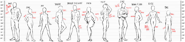 Body type and Height Reference