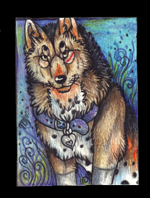 Aliyah-TimberWulf ACEO