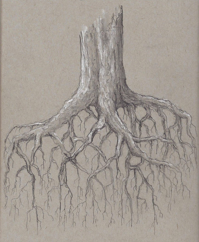 Deeply Rooted by Observer14 on DeviantArt