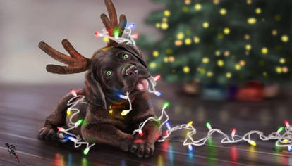 Christmas Doggy