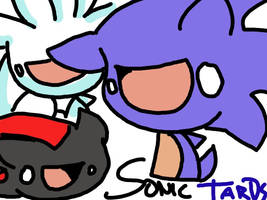 Sonic tards