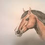 water color horse thing...