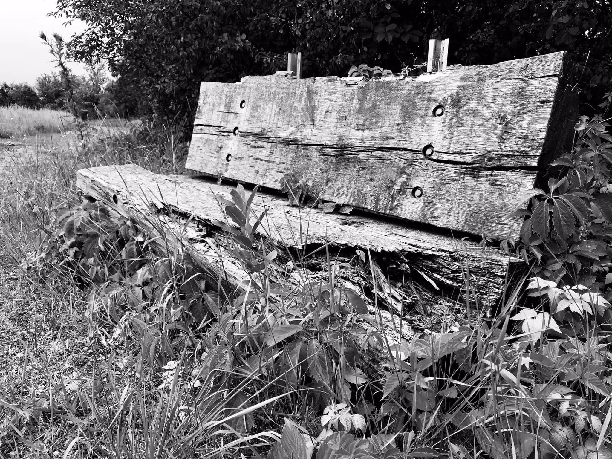 Bench Time by Peterodl on DeviantArt