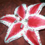 Lily 2