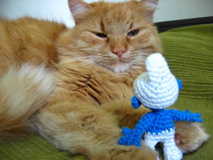 Smurf and the Cat