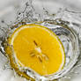 water lemon