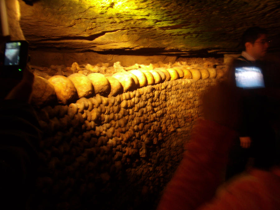 Bone Wall by MinervaEmiprav on DeviantArt