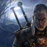 The Witcher