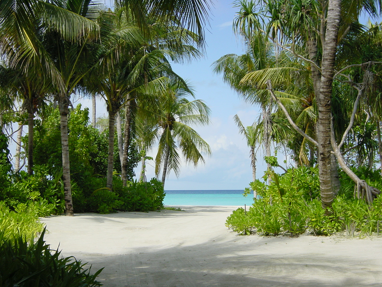 Maldives beach