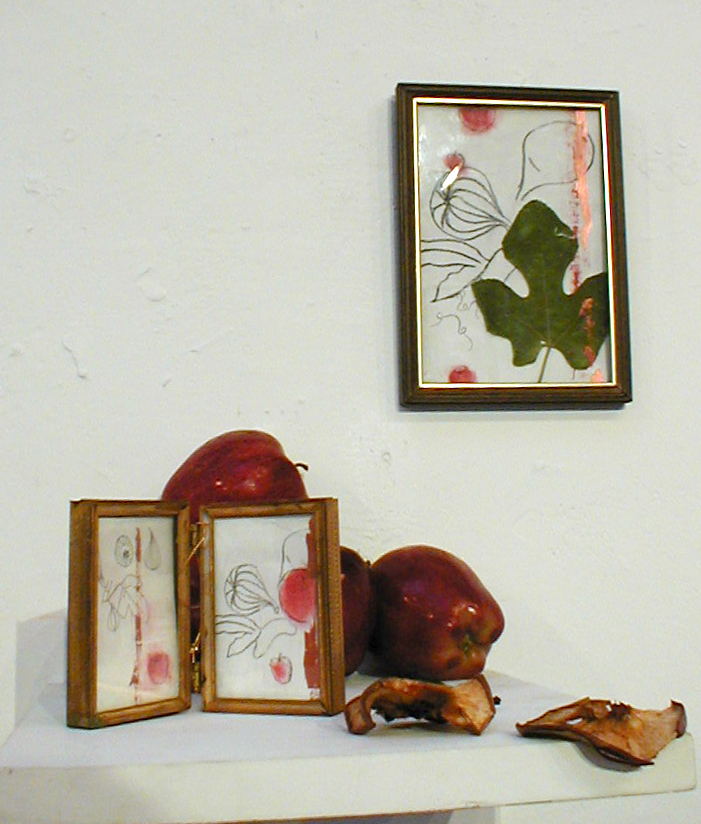 apples and figs 2001