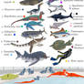 Species in The Seas of Our Planet's Past
